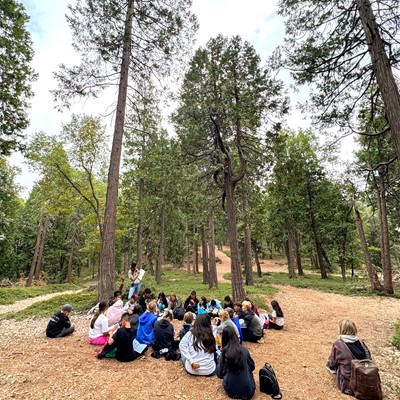 students sitting in the forest